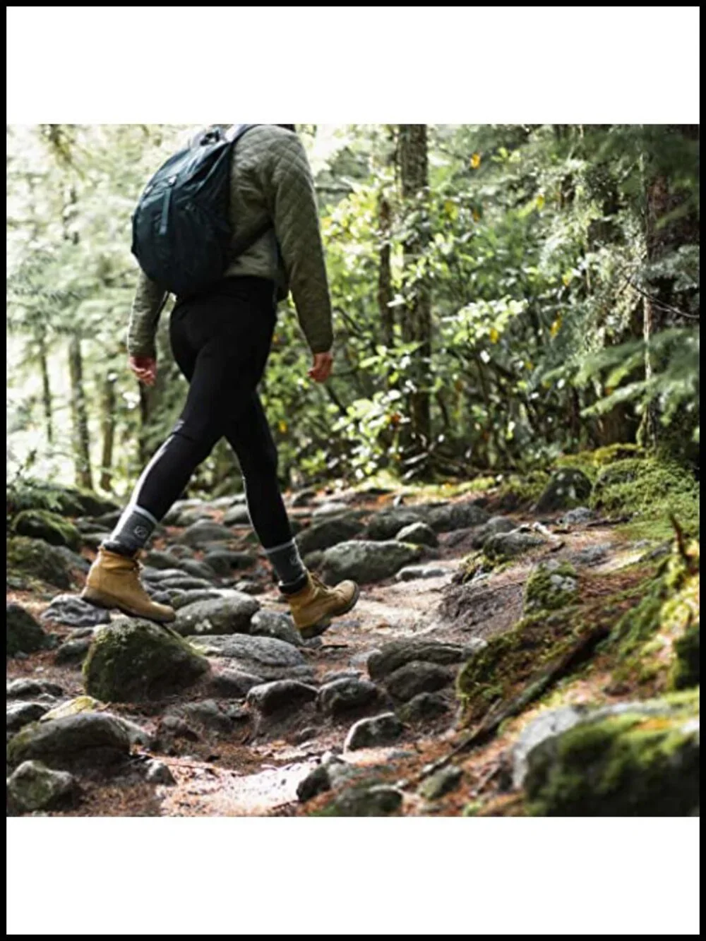 Merino Wool Hiking Socks 3-Pack Cushioned Crew Length Anti-Blister Moisture